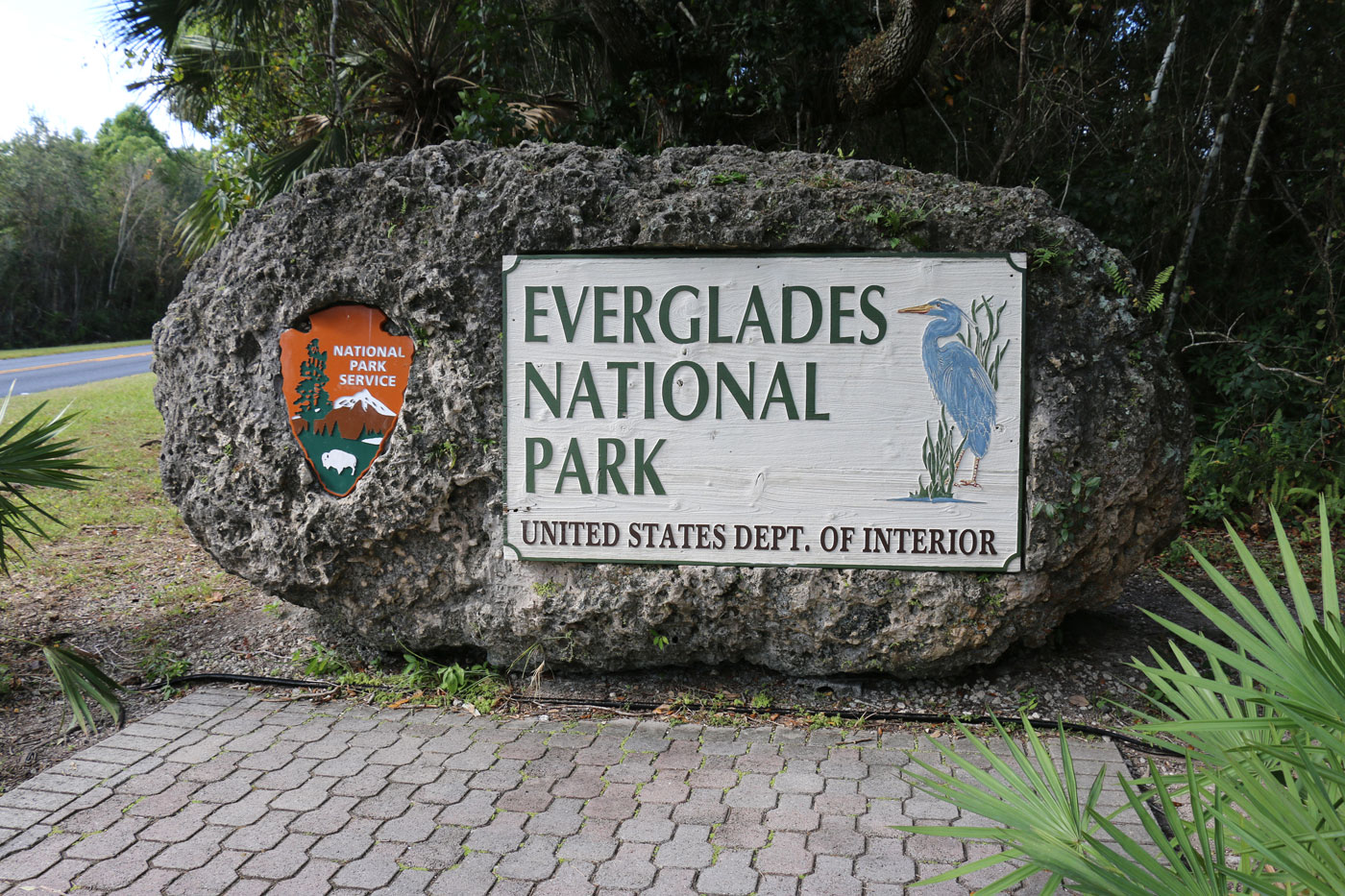 Водно-болотный мир Эверглейдс